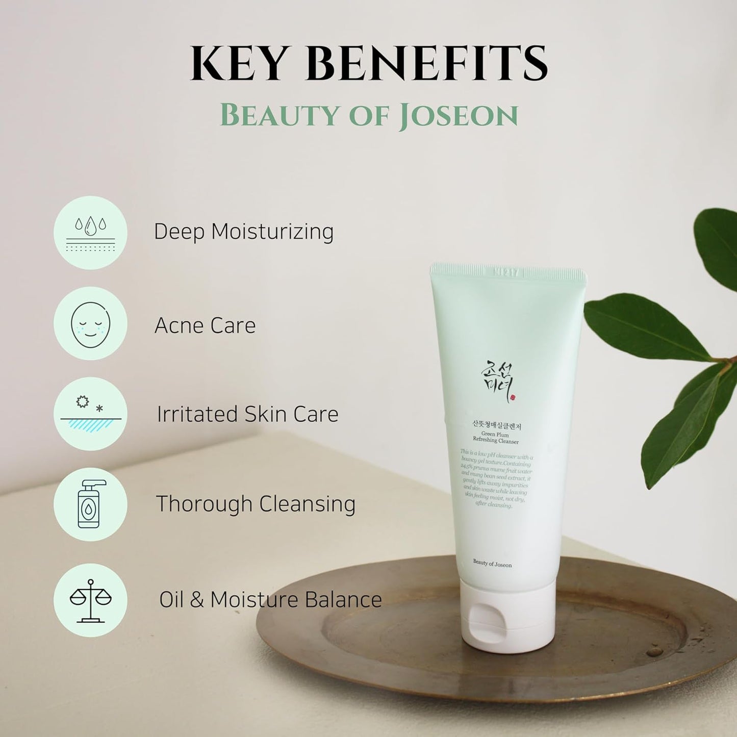 Beauty of Joseon Limpiador Refrescante Green Plum (3.4 Fl Oz, 3.38 Fl.Oz.)