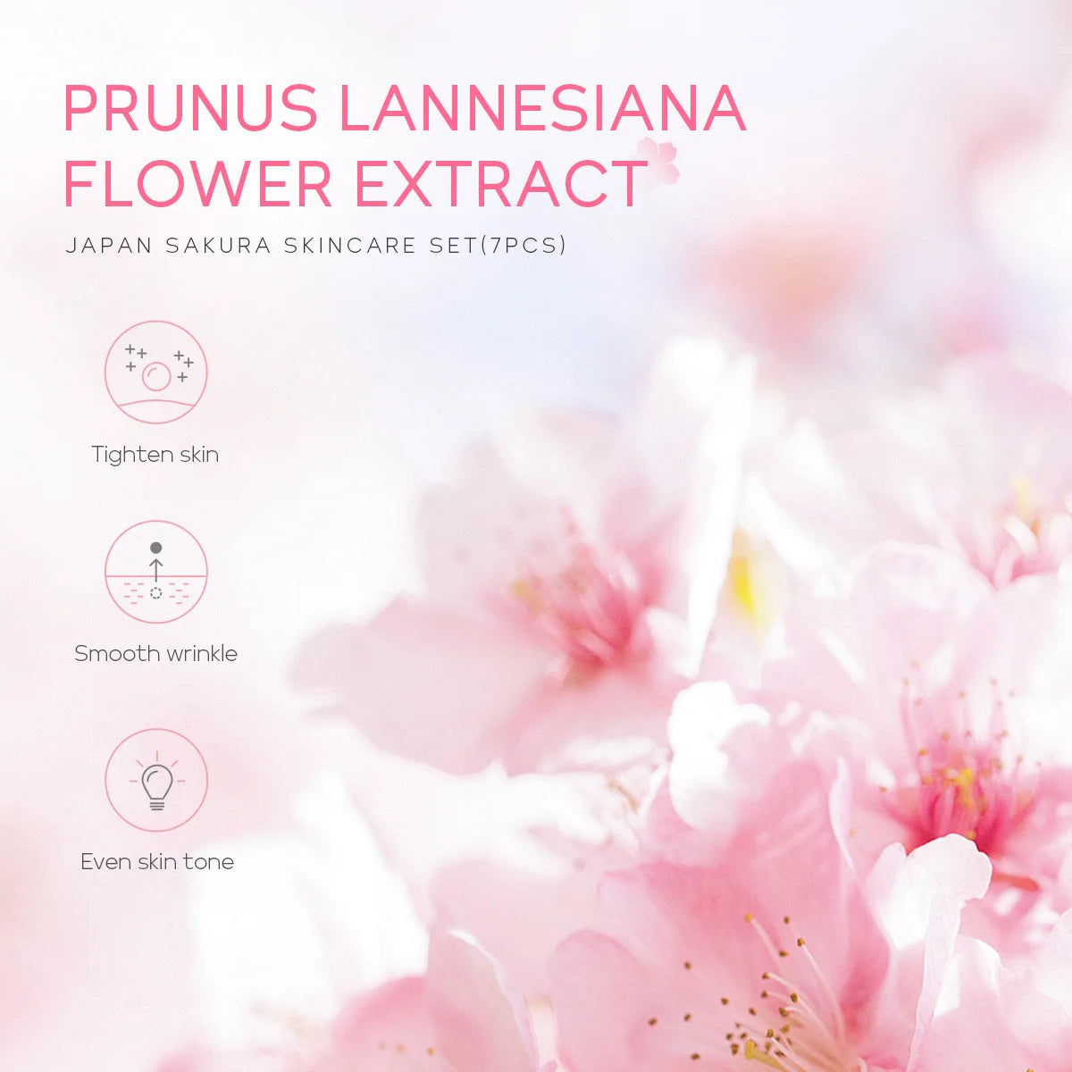 Japan Sakura Essence Crema Facial Hidratante Flor de Cerezo 30G