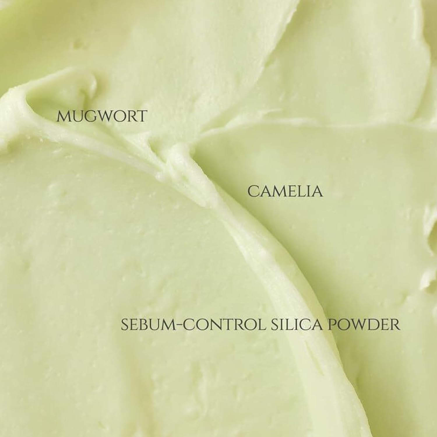 Beauty of Joseon Matte Sun Stick: Mugwort + Camilia (SPF 50+ PA++++)