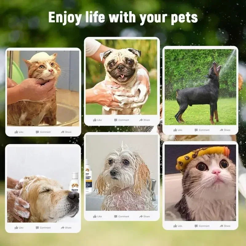 Champú y acondicionador para perros 2 en 1